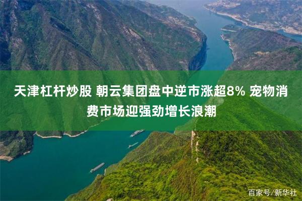 天津杠杆炒股 朝云集团盘中逆市涨超8% 宠物消费市场迎强劲增长浪潮