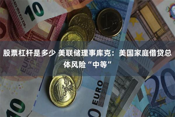股票杠杆是多少 美联储理事库克：美国家庭借贷总体风险“中等”