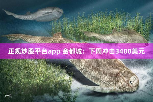 正规炒股平台app 金都城：下周冲击3400美元