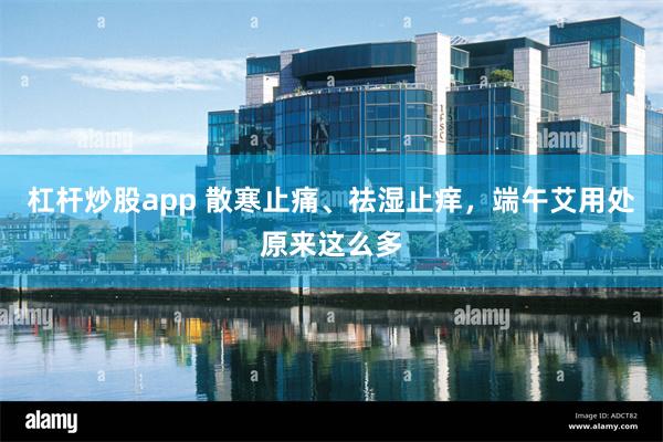 杠杆炒股app 散寒止痛、祛湿止痒，端午艾用处原来这么多