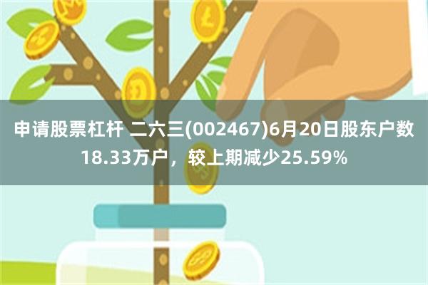 申请股票杠杆 二六三(002467)6月20日股东户数18.33万户，较上期减少25.59%