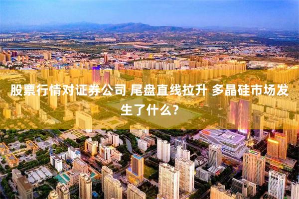 股票行情对证券公司 尾盘直线拉升 多晶硅市场发生了什么？