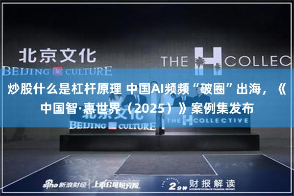 炒股什么是杠杆原理 中国AI频频“破圈”出海，《中国智·惠世界（2025）》案例集发布