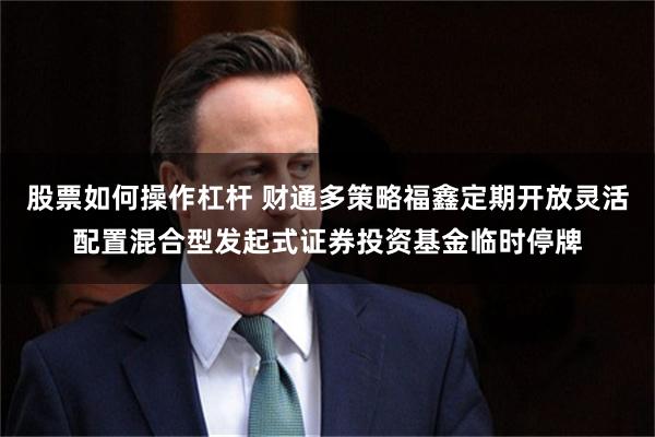 股票如何操作杠杆 财通多策略福鑫定期开放灵活配置混合型发起式证券投资基金临时停牌