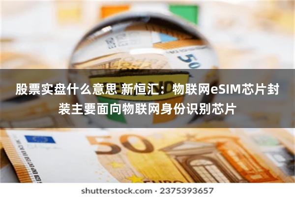 股票实盘什么意思 新恒汇：物联网eSIM芯片封装主要面向物联网身份识别芯片