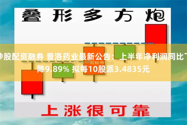 炒股配资融券 普洛药业最新公告：上半年净利润同比下降9.89% 拟每10股派3.4835元