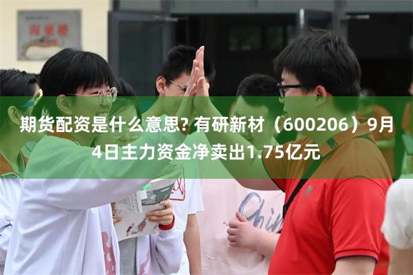 期货配资是什么意思? 有研新材（600206）9月4日主力资金净卖出1.75亿元