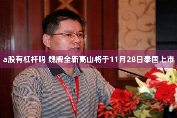 a股有杠杆吗 魏牌全新高山将于11月28日泰国上市
