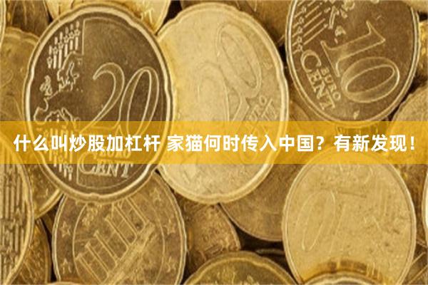 什么叫炒股加杠杆 家猫何时传入中国？有新发现！
