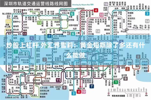 炒股上杠杆 外汇界雪莉：黄金短期除了多还有什么能做