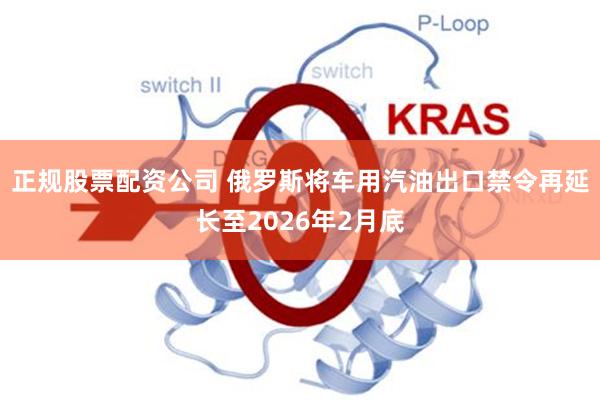 正规股票配资公司 俄罗斯将车用汽油出口禁令再延长至2026年2月底