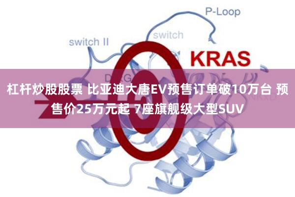 杠杆炒股股票 比亚迪大唐EV预售订单破10万台 预售价25万元起 7座旗舰级大型SUV