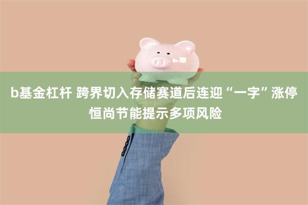 b基金杠杆 跨界切入存储赛道后连迎“一字”涨停 恒尚节能提示多项风险