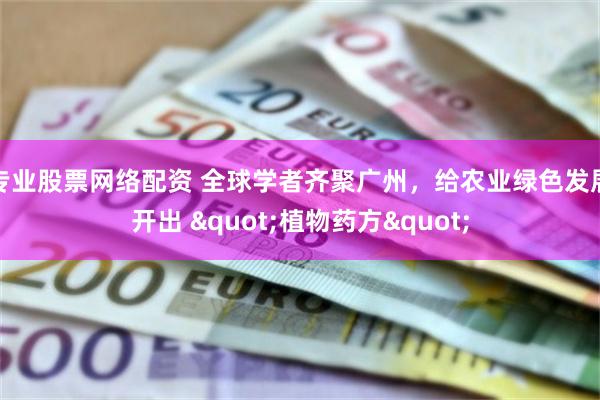 专业股票网络配资 全球学者齐聚广州，给农业绿色发展开出 "植物药方"