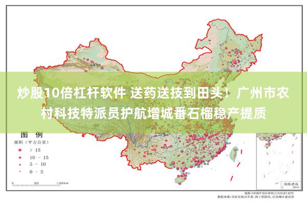 炒股10倍杠杆软件 送药送技到田头！广州市农村科技特派员护航增城番石榴稳产提质
