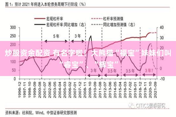 炒股资金配资 有名字啦！大熊猫“福宝”妹妹们叫“睿宝”、“辉宝”