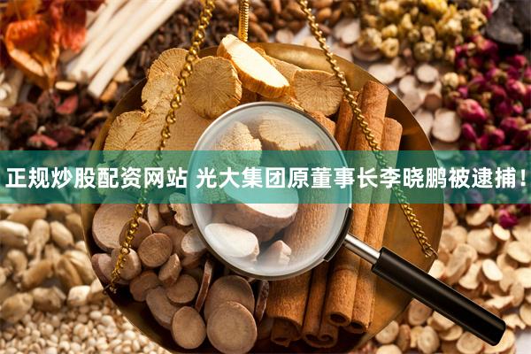 正规炒股配资网站 光大集团原董事长李晓鹏被逮捕！
