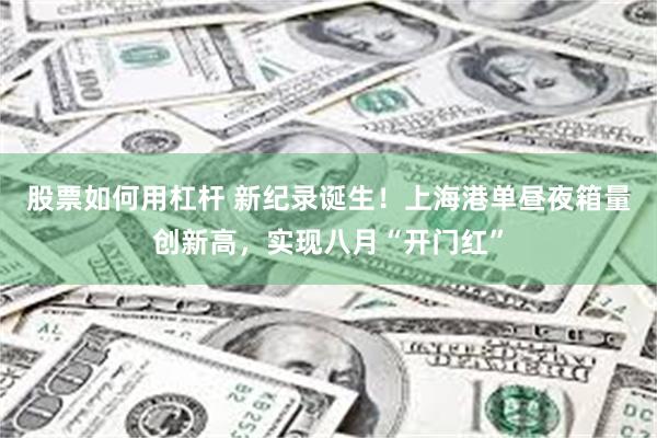 股票如何用杠杆 新纪录诞生！上海港单昼夜箱量创新高，实现八月“开门红”