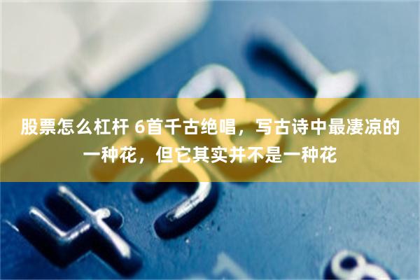 股票怎么杠杆 6首千古绝唱，写古诗中最凄凉的一种花，但它其实并不是一种花