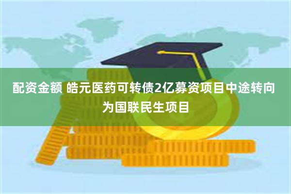 配资金额 皓元医药可转债2亿募资项目中途转向 为国联民生项目